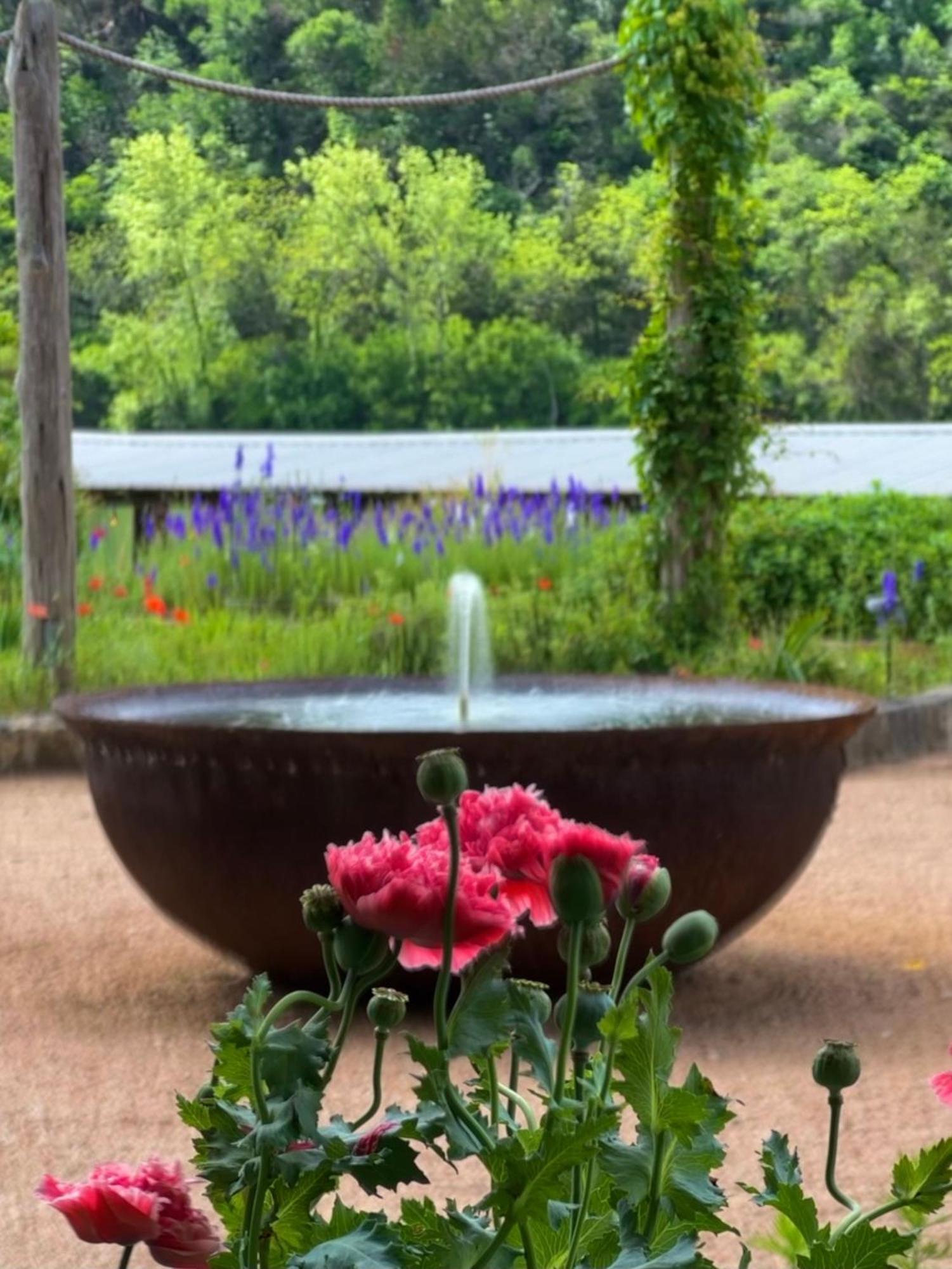 Lake Austin Spa Resort Ngoại thất bức ảnh