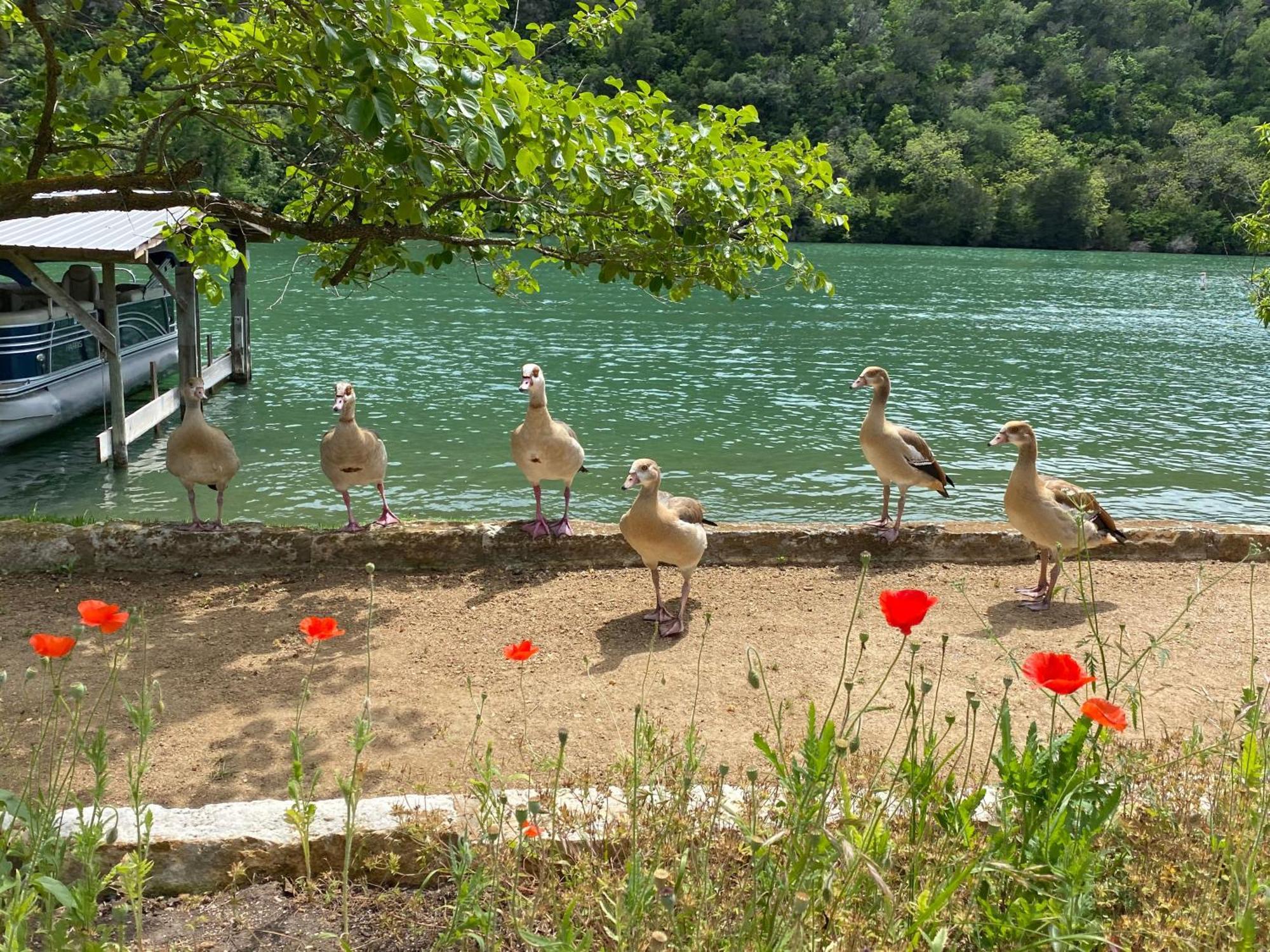 Lake Austin Spa Resort Ngoại thất bức ảnh